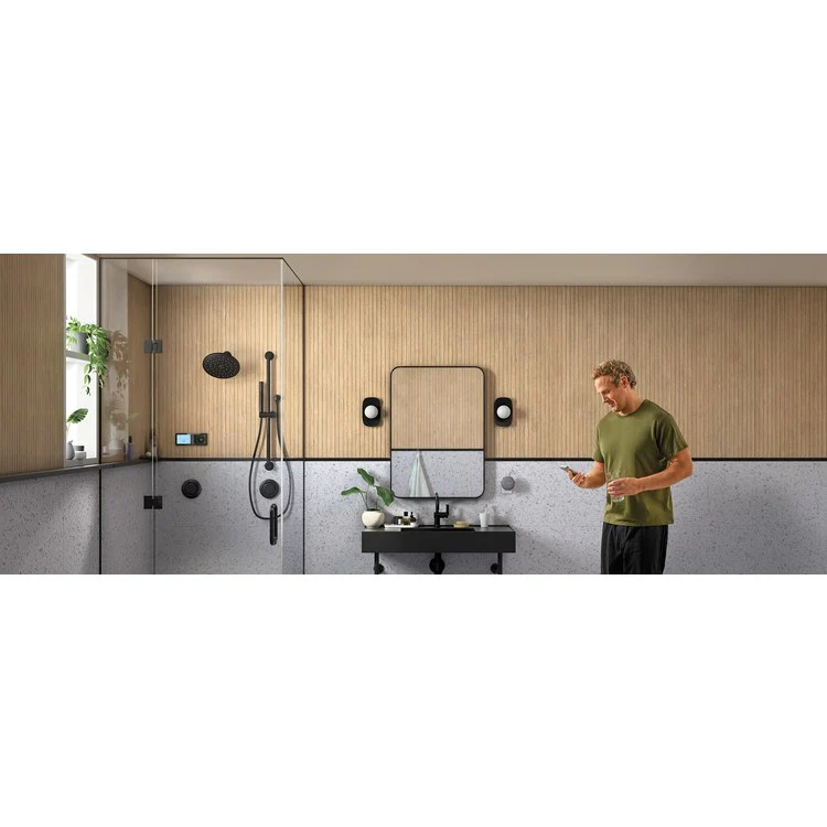 Body Spray Trim Mosaic Round Single Spray 3 Inch Matte Black 2.0 Gallons per Minute for Rough-In S1300 - Frankwebs