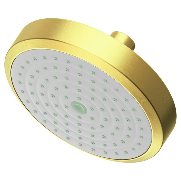 Showerhead Newport Bath 1 Function French Gold PVD 5-15/16 Inch 1.8 Gallons per Minute Rubber NZL - Frankwebs