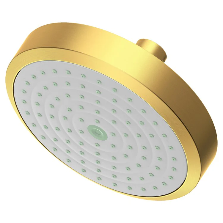 Showerhead Newport Bath 1 Function French Gold PVD 5-15/16 Inch 1.8 Gallons per Minute Rubber NZL - Frankwebs