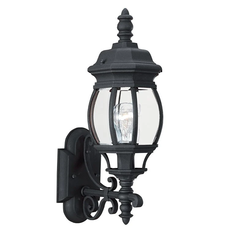 Wynfield Single-Light Medium Outdoor Wall Lantern - Frankwebs