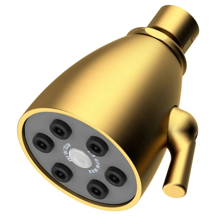 Single-Function Six-Jet Showerhead - Midnight Chrome - Frankwebs