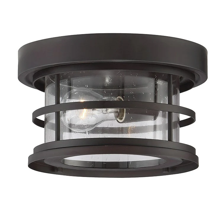 Barrett Single-Light Outdoor Flush Mount Ceiling Light - Frankwebs