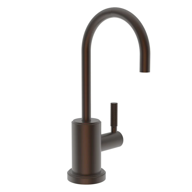 Cold Water Dispenser Muncy 1 Lever ADA Gooseneck Polished Nickel - Frankwebs