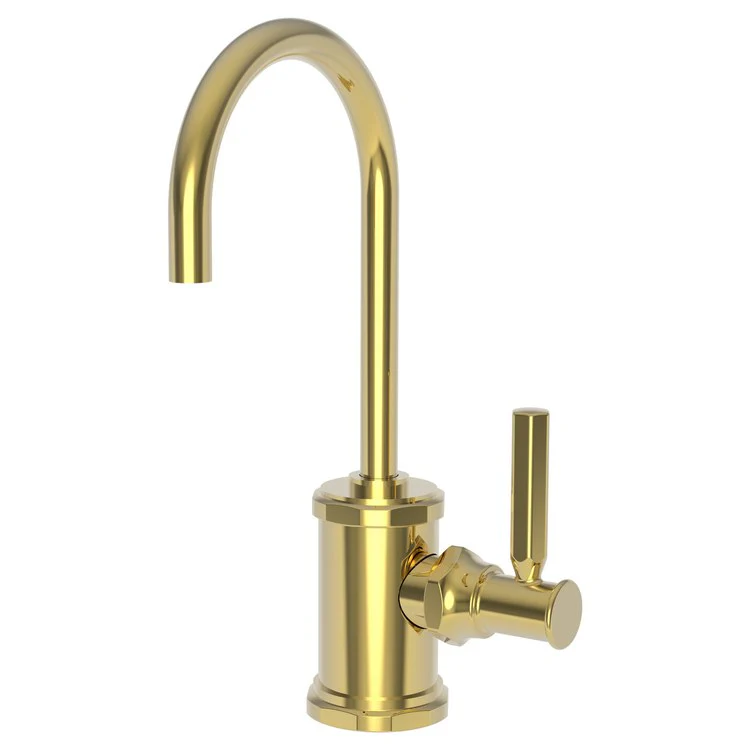 Cold Water Dispenser Heaney 1 Lever ADA Gooseneck Satin Gold PVD - Frankwebs