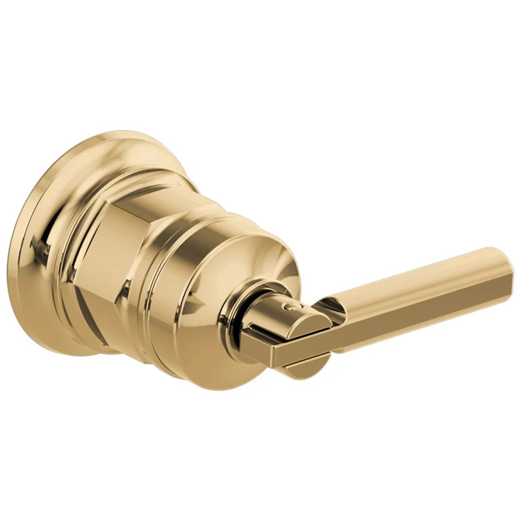 Handle Kit Invari Zinc 1 Lever Brilliance Luxe Gold for Wall Mount Lavatory 2-3/8 Inch - Frankwebs
