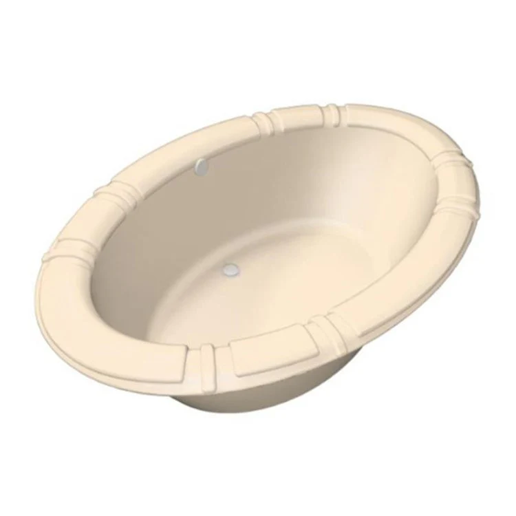 Combination Tub Designer Collection Alyssa 66 x 42 x 19-3/4 Inch Drop-In Center Drain Bone Oval - Frankwebs