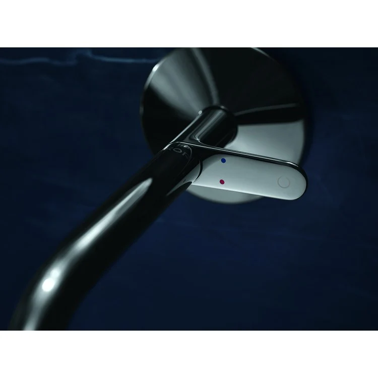 Faucet Trim One Wall Mount 1 Lever Chrome WaterSense ADA 1.2 Gallons per Minute - Frankwebs