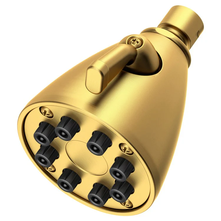Single-Function Eight-Jet Showerhead - Aged Brass - Frankwebs