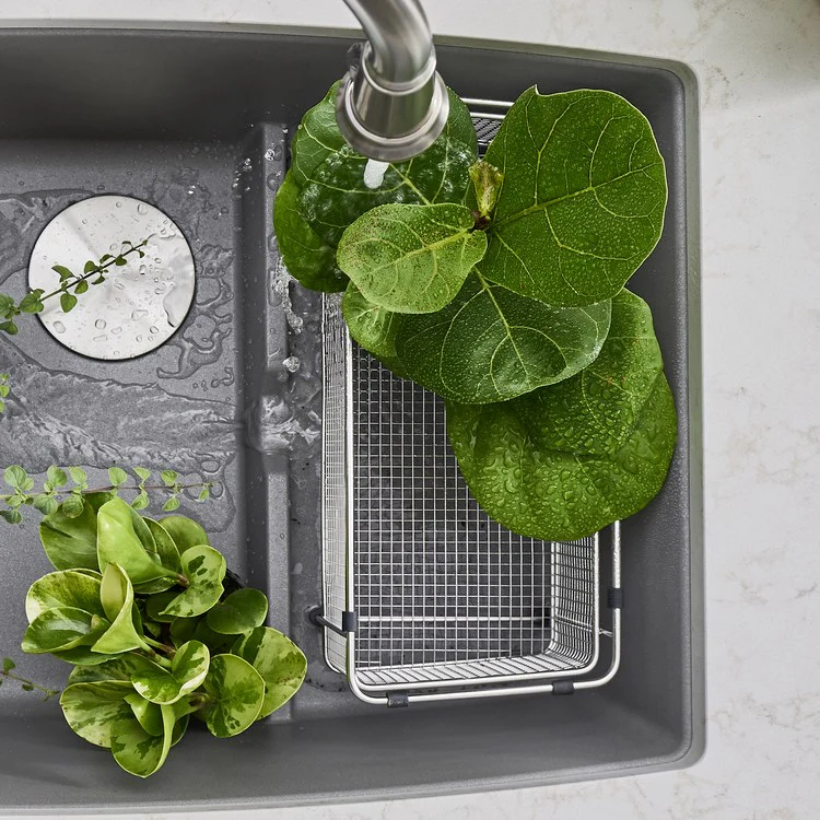 Stainless Steel Mesh Colander - Frankwebs