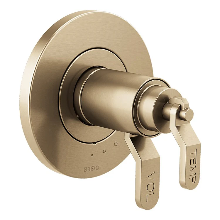 Litze Replacement Industrial Lever Handle for TempAssure Thermostatic Valve - Frankwebs