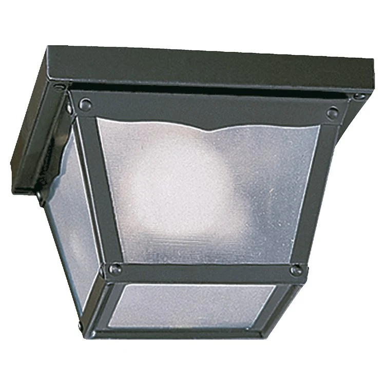 Signature Cage Single-Light Outdoor Flush Mount Ceiling Fixture - Frankwebs
