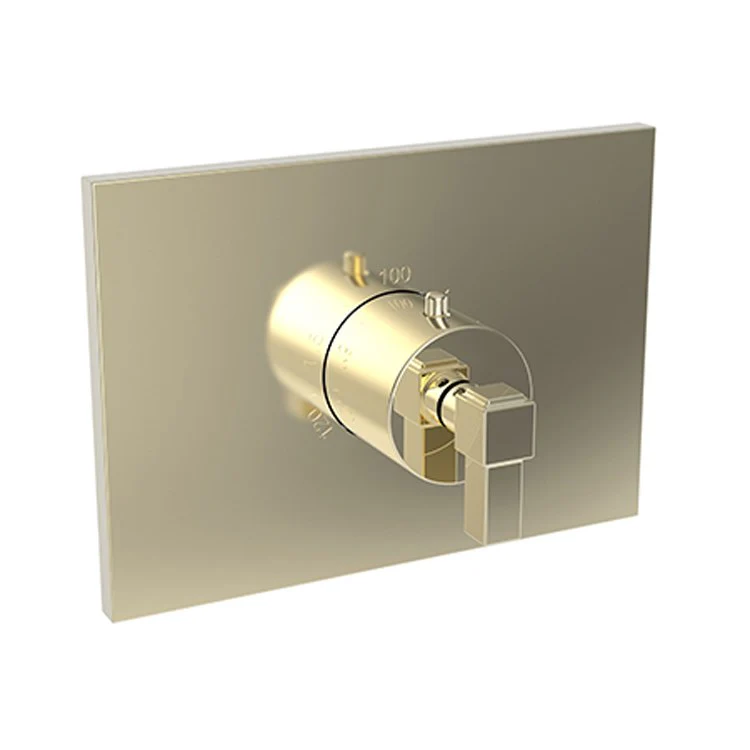 Thermostatic Trim Malvina Rectangular Plate 1 Lever Forever Brass PVD ADA for Rough Valve 1-540 Face Plate and Temperature-Adjust Handle Brass - Frankwebs