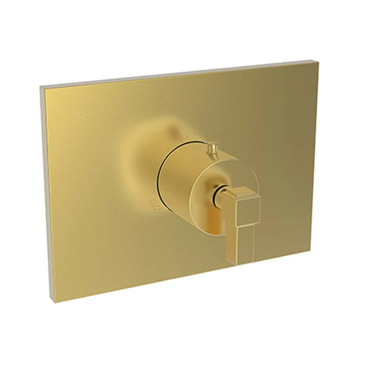 Thermostatic Trim Malvina Rectangular Plate 1 Lever Forever Brass PVD ADA for Rough Valve 1-540 Face Plate and Temperature-Adjust Handle Brass - Frankwebs
