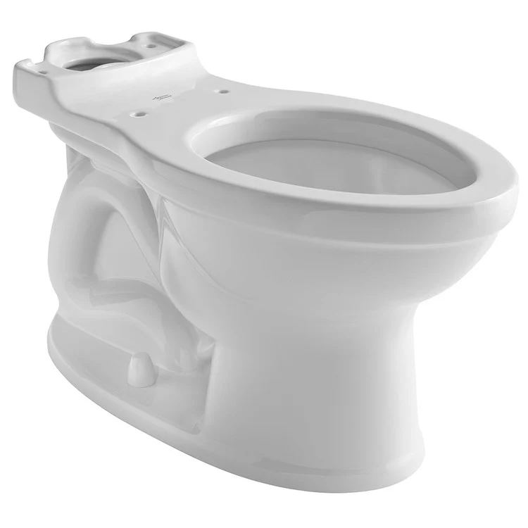 Champion Pro Floor-Mount Elongated Toilet Bowl - Frankwebs