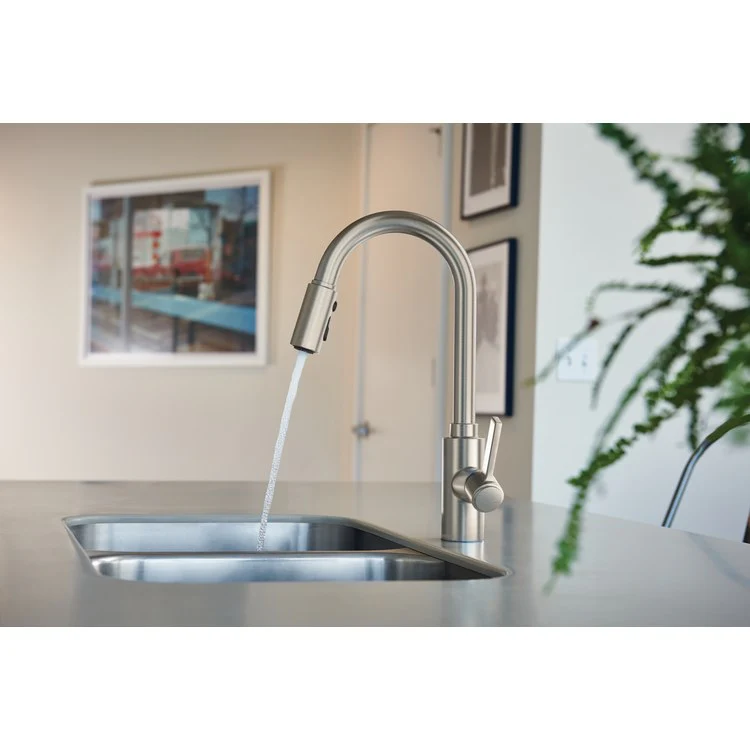 Kitchen Faucet Genta 1 Lever ADA Spot Resist Stainless Pull Down High Arc - Frankwebs
