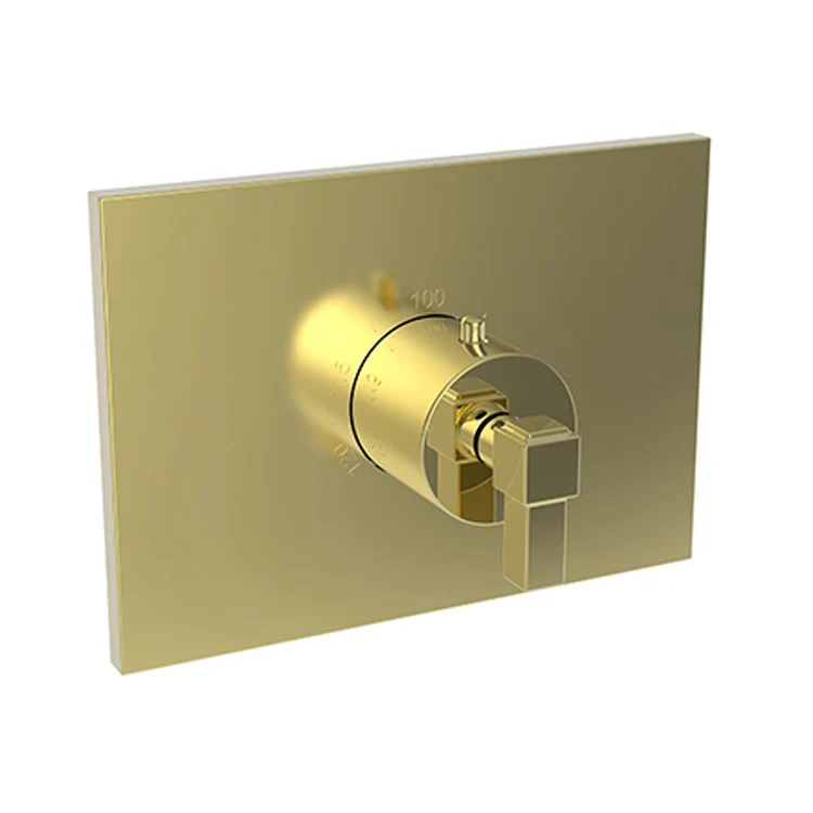Thermostatic Trim Malvina Rectangular Plate 1 Lever Forever Brass PVD ADA for Rough Valve 1-540 Face Plate and Temperature-Adjust Handle Brass - Frankwebs