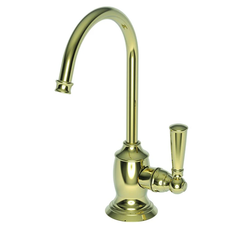 Cold Water Dispenser Jacobean 1 Lever ADA Gooseneck Antique Nickel - Frankwebs