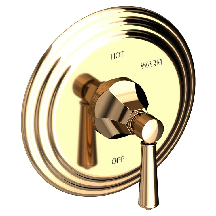 Pressure Balance Valve Trim Metropole Round 1 Lever Aged Brass ADA Depth 3-3/7 Inch - Frankwebs