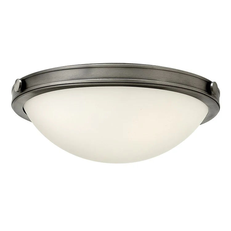 Maxwell Two-Light Flush Mount Ceiling Light - Frankwebs
