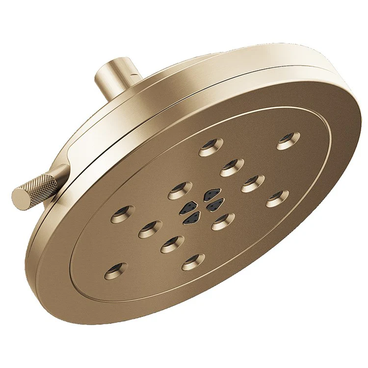 Litze H2OKinetic Four-Function Raincan Shower Head - Frankwebs