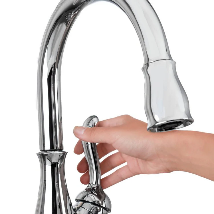 Leland Single Handle Pull Down Kitchen Faucet - Frankwebs