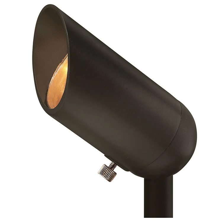 Hardy Island 50-Watt Single-Light MR-16 Spot Light with Clear Lens - Frankwebs