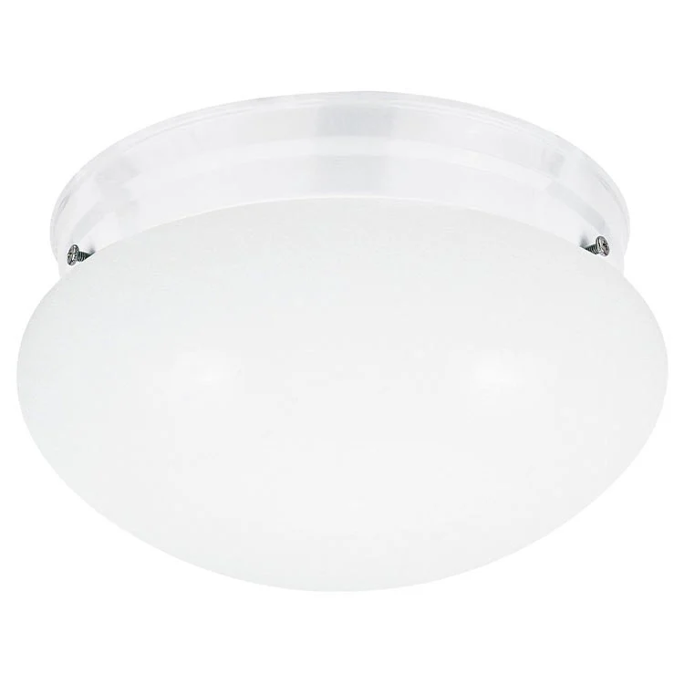 Webster Single-Light Flush Mount Ceiling Fixture - Frankwebs