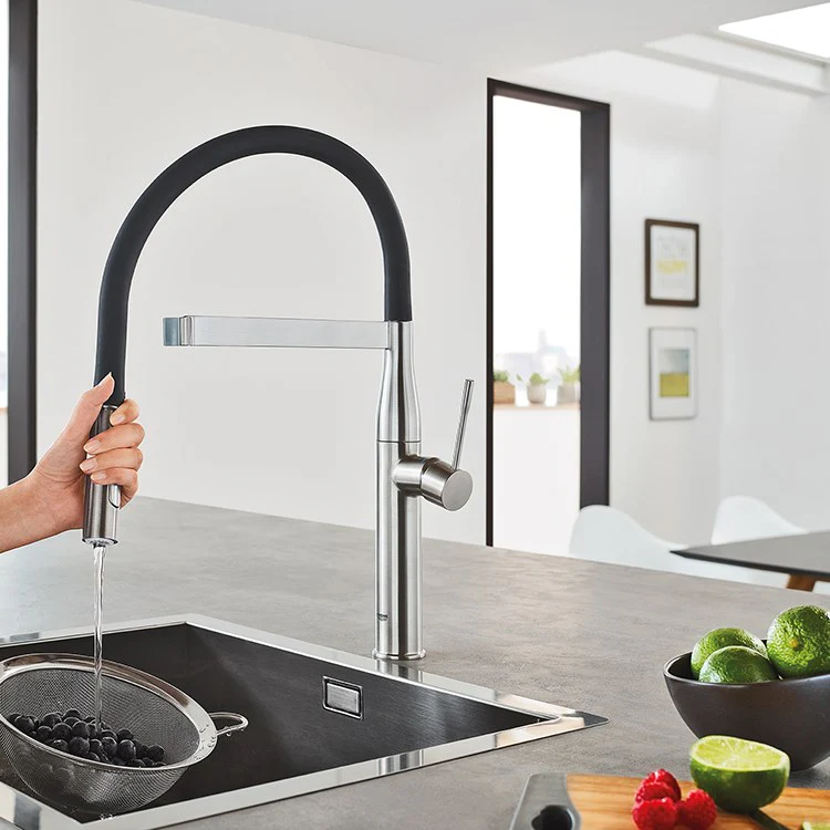 Essence Single Handle Profession Pull-Down Kitchen Faucet - Frankwebs