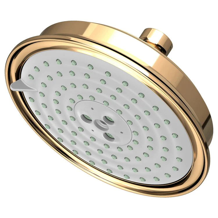 Traditional Five-Function Shower Head - Frankwebs