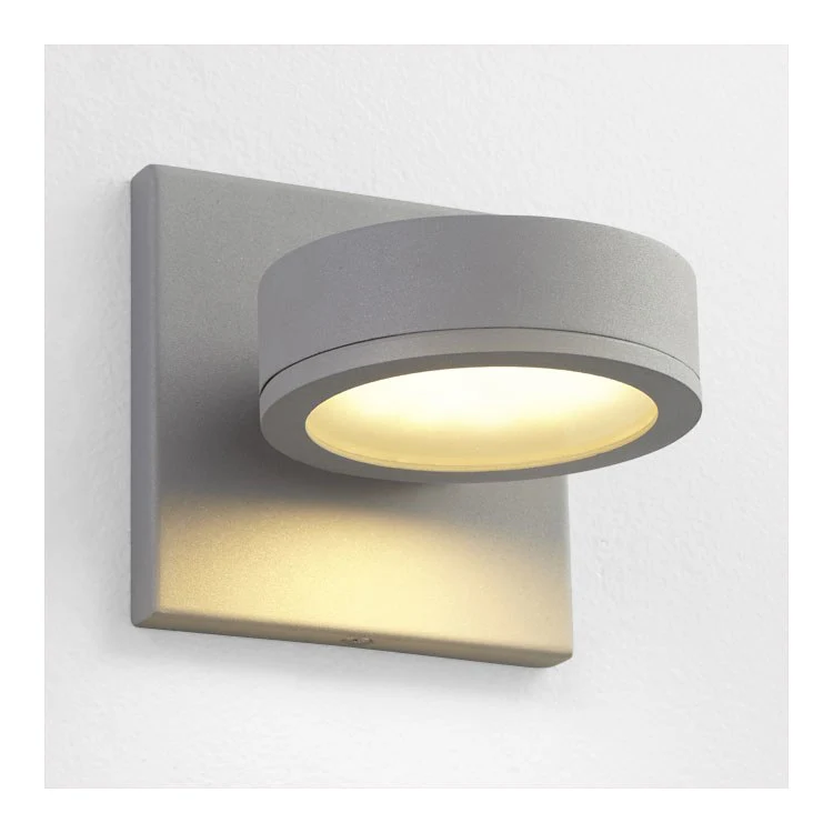 Ceres Single-Light Outdoor Wall Sconce - Gray - Frankwebs