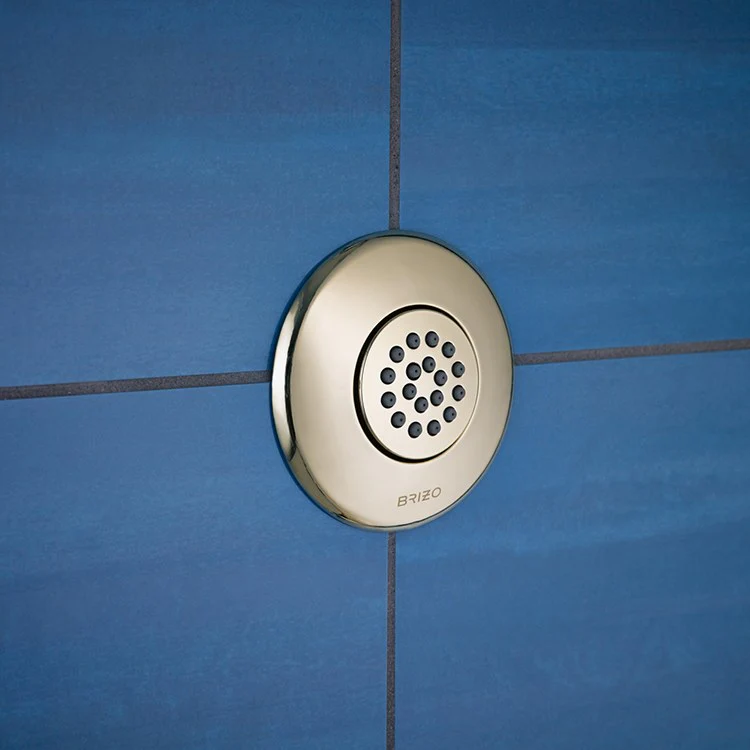 HydraChoice Body Spray Head with Full Spray - Frankwebs