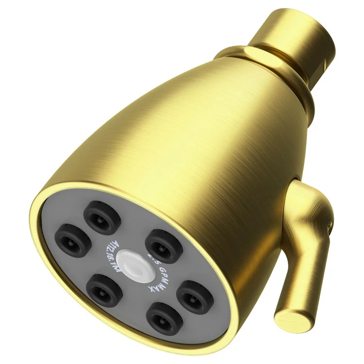 Single-Function Six-Jet Showerhead - Midnight Chrome - Frankwebs