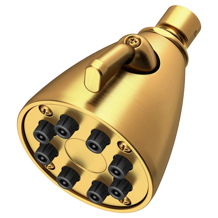 Single-Function Eight-Jet Showerhead - Aged Brass - Frankwebs