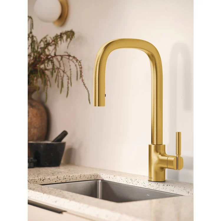 Kitchen Faucet Tenon 1 Lever ADA Brushed Gold High Arc 1 Hole 1.5 Gallons per Minute - Frankwebs