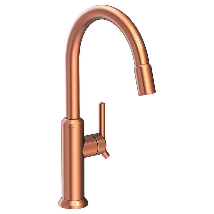 Kitchen Faucet Jeter 1 Lever ADA Polished Chrome Pull Down Spout Height 10-7/9 Inch 1.8 Gallons per Minute - Frankwebs