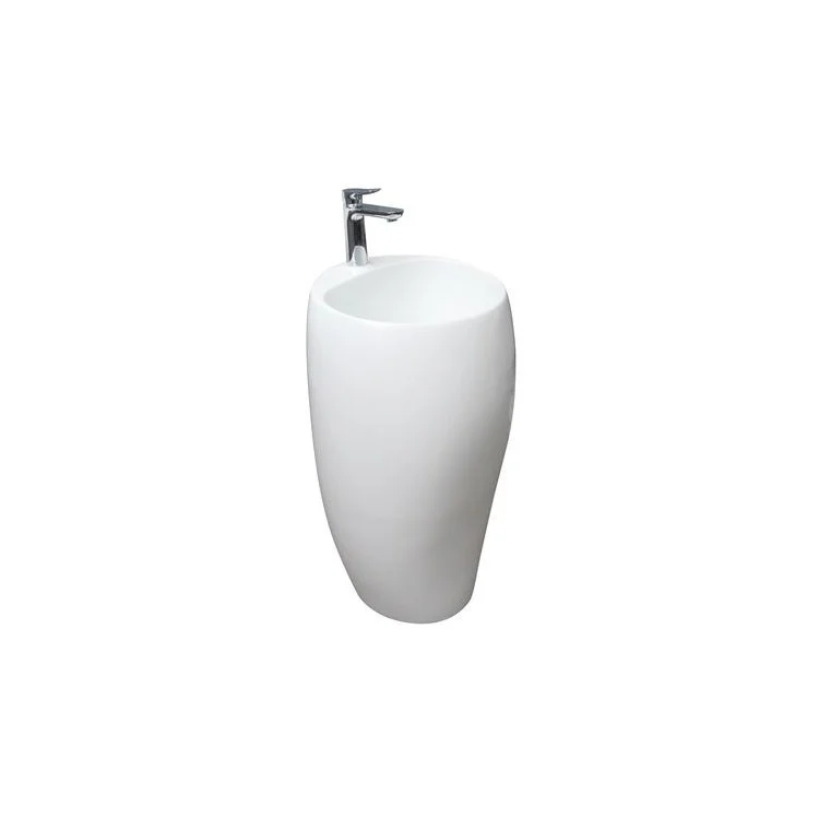 Pedestal Lavatory 48 x 40 x 45 Inch with Waste Cover White Matte - Frankwebs