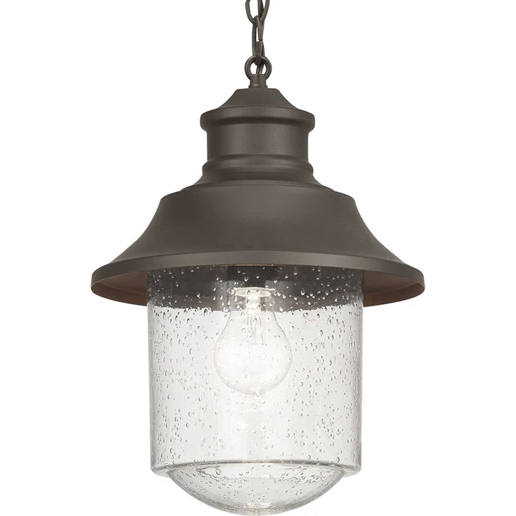 Weldon Single-Light Outdoor Hanging Lantern - Frankwebs