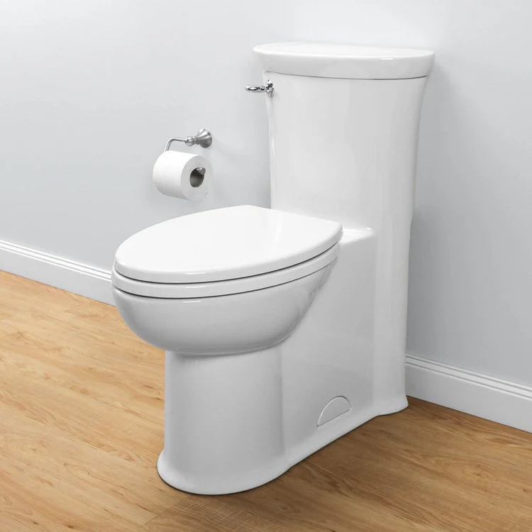 Tropic Right Height FloWise Elongated 1-Piece Toilet - Frankwebs