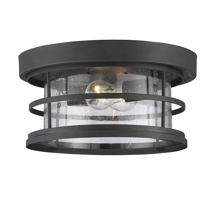 Barrett Two-Light Outdoor Flush Mount Ceiling Light - Frankwebs