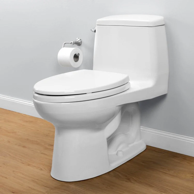Ultimate Elongated One-Piece Toilet with SoftClose Seat - Frankwebs