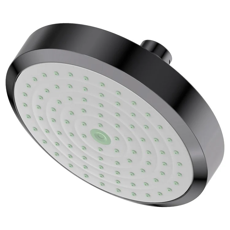 Showerhead Newport Bath 1 Function French Gold PVD 5-15/16 Inch 1.8 Gallons per Minute Rubber NZL - Frankwebs