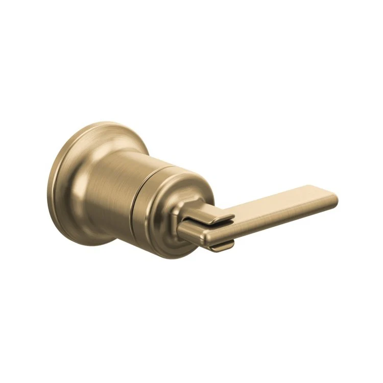 Handle Kit Allaria Zinc 1 Lever Brilliance Luxe Gold / Clear Acrylic ADA for Wall Mount Lavatory - Frankwebs