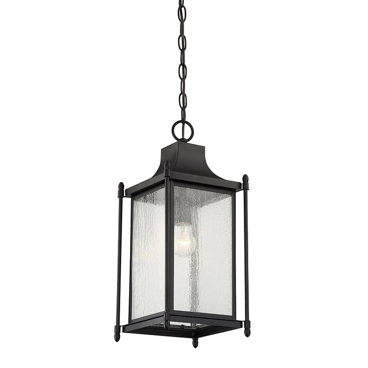 Dunnmore Single-Light Hanging Lantern - Frankwebs