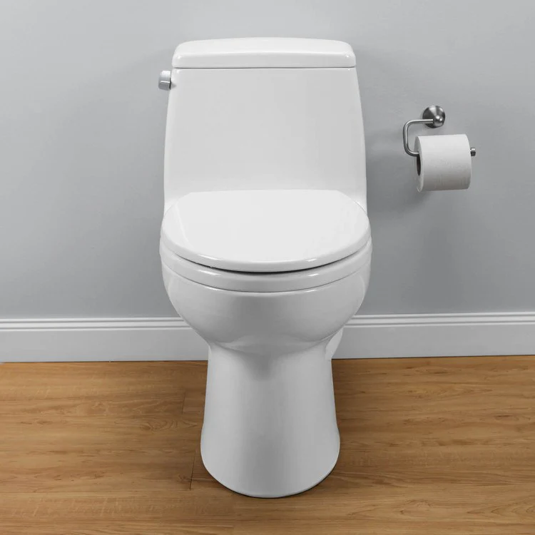 Eco UltraMax Elongated One-Piece Toilet with SoftClose Seat - Frankwebs
