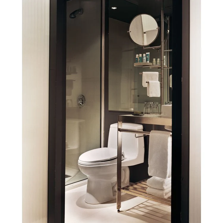 Ultimate Elongated One-Piece Toilet with SoftClose Seat - Frankwebs