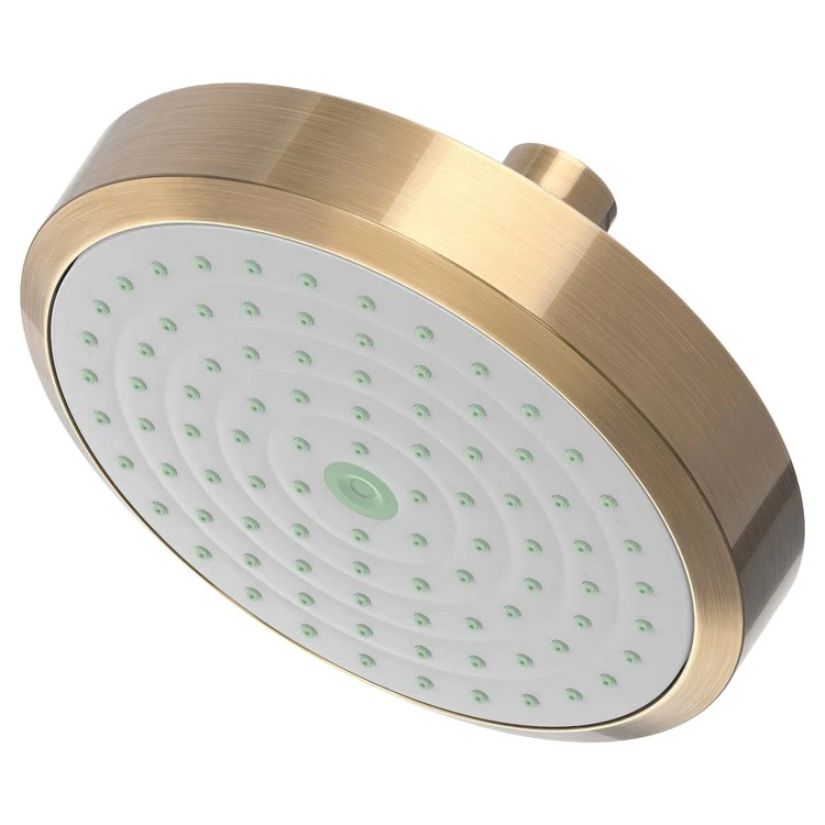 Showerhead Newport Bath 1 Function French Gold PVD 5-15/16 Inch 1.8 Gallons per Minute Rubber NZL - Frankwebs