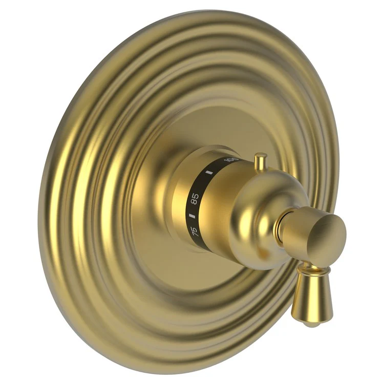 Thermostatic Trim Metropole Round Plate 1 Lever Polished Brass Uncoated Living ADA for Rough Valve 1-540 Face Plate and Temperature-Adjust Handle Brass - Frankwebs