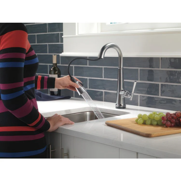 Bar Faucet Emmeline 1 Lever ADA Lumicoat Arctic Stainless Pull Down 1.8 Gallons per Minute - Frankwebs