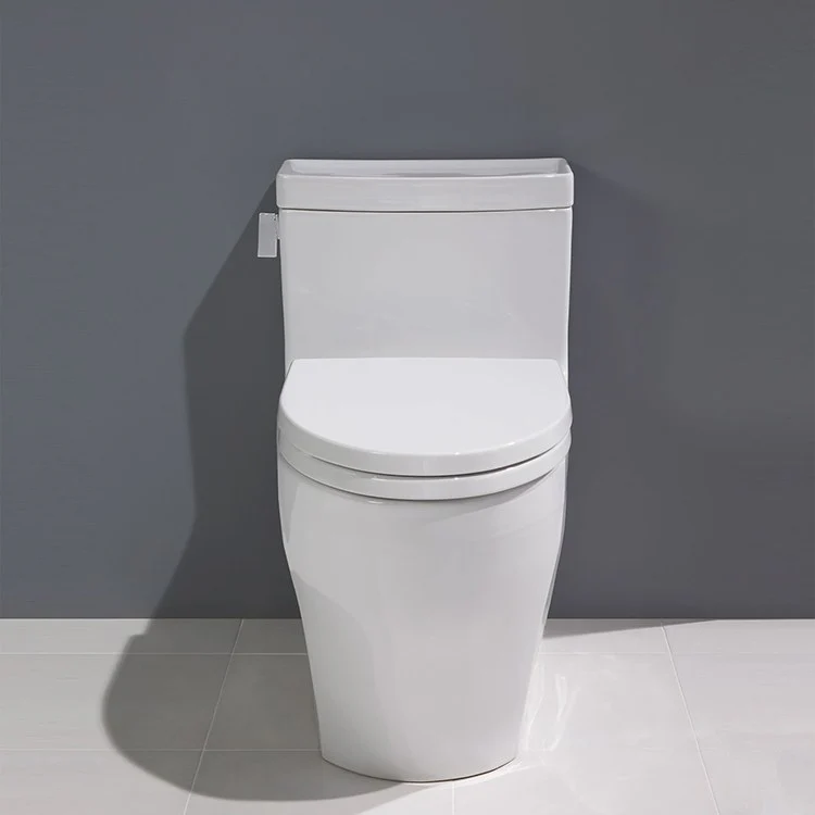 Legato One-Piece Elongated Toilet - Frankwebs