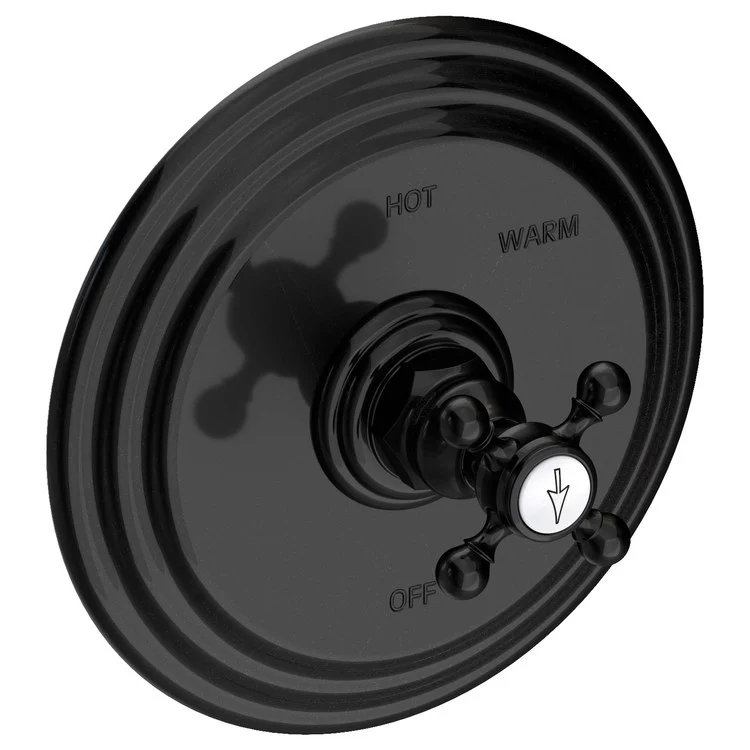 Astor Pressure Balance Valve Trim Only - Frankwebs